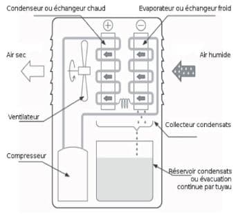 Principe de fonctionnement d'un déshumidificateur à condensation frigorifique