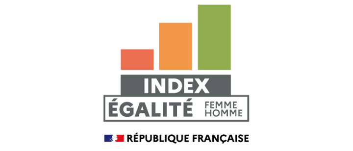 Index d'égalité hommes-femmes DESSICA