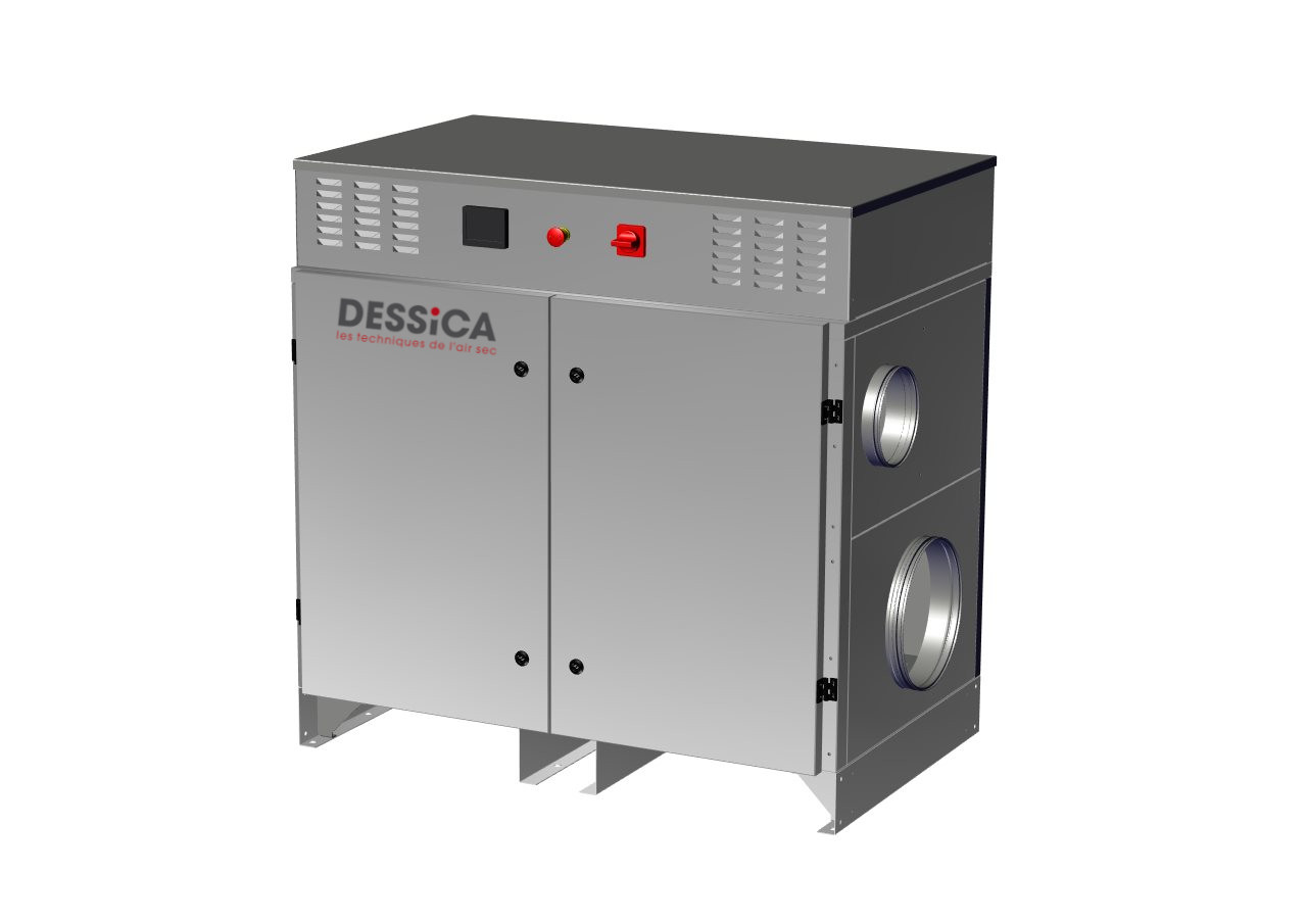 DESSICA DP T2 090822